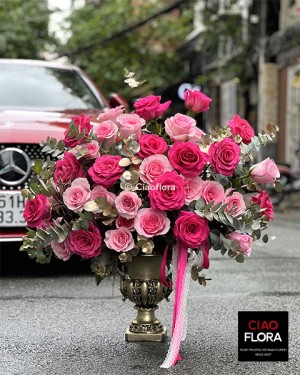 Premium Ecuador Roses