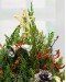 Merry Tree