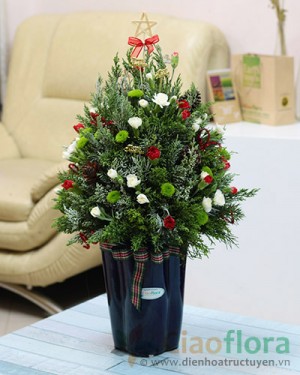 The Joys of Christmas